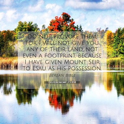 Picture 07 - Deuteronomy 2:5 BSB - Do not provoke them, for I will not give you any - Bible Verse Picture