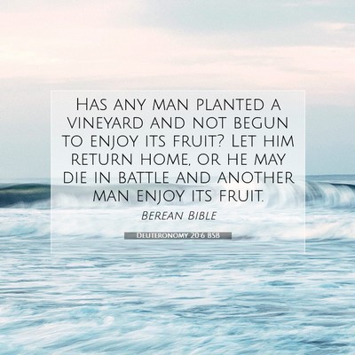 Picture 07 - Deuteronomy 20:6 BSB - Has any man planted a vineyard and not begun to - Bible Verse Picture