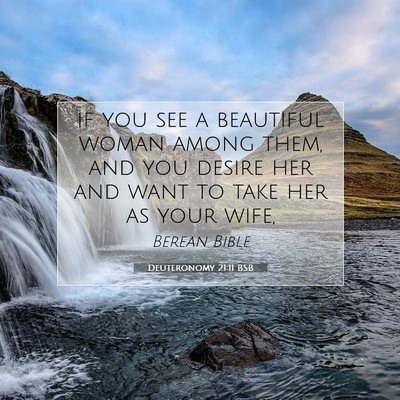 Picture 07 - Deuteronomy 21:11 BSB - if you see a beautiful woman among them, and you - Bible Verse Picture