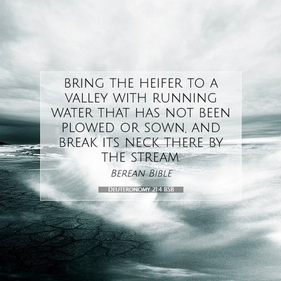 Picture 07 - Deuteronomy 21:4 BSB - bring the heifer to a valley with running water - Bible Verse Picture