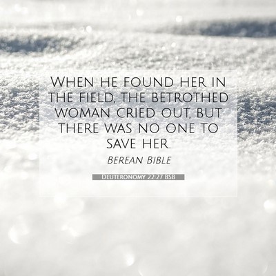 Picture 07 - Deuteronomy 22:27 BSB - When he found her in the field, the betrothed - Bible Verse Picture