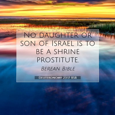 Picture 07 - Deuteronomy 23:17 BSB - No daughter or son of Israel is to be a shrine - Bible Verse Picture