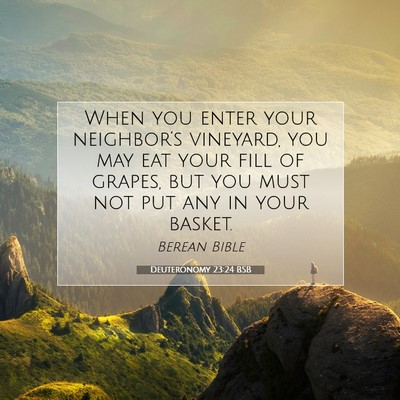 Picture 07 - Deuteronomy 23:24 BSB - When you enter your neighbor’s vineyard, you - Bible Verse Picture