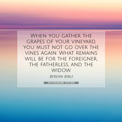Picture 07 - Deuteronomy 24:21 BSB - When you gather the grapes of your vineyard, you - Bible Verse Picture