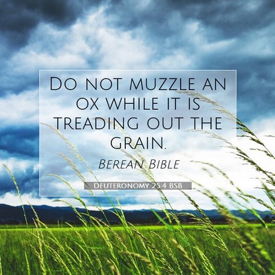 Picture 07 - Deuteronomy 25:4 BSB - Do not muzzle an ox while it is treading out the - Bible Verse Picture