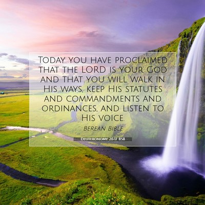 Picture 07 - Deuteronomy 26:17 BSB - Today you have proclaimed that the LORD is your - Bible Verse Picture