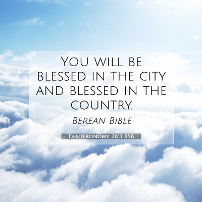 Picture 07 - Deuteronomy 28:3 BSB - You will be blessed in the city and blessed in - Bible Verse Picture