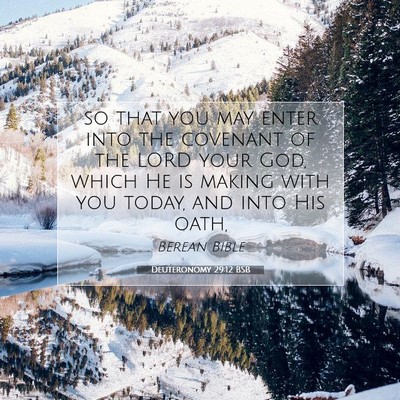 Picture 07 - Deuteronomy 29:12 BSB - so that you may enter into the covenant of the - Bible Verse Picture