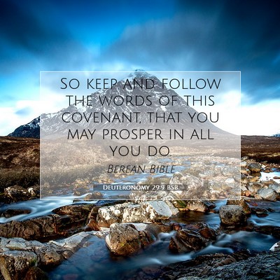 Picture 07 - Deuteronomy 29:9 BSB - So keep and follow the words of this covenant, - Bible Verse Picture