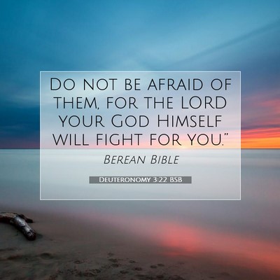 Picture 07 - Deuteronomy 3:22 BSB - Do not be afraid of them, for the LORD your God - Bible Verse Picture
