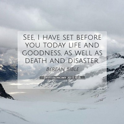 Picture 07 - Deuteronomy 30:15 BSB - See, I have set before you today life and - Bible Verse Picture
