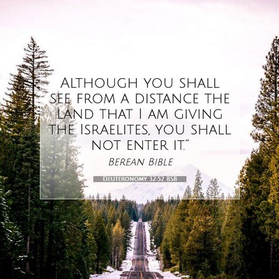 Picture 07 - Deuteronomy 32:52 BSB - Although you shall see from a distance the land - Bible Verse Picture