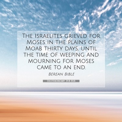 Picture 07 - Deuteronomy 34:8 BSB - The Israelites grieved for Moses in the plains of - Bible Verse Picture