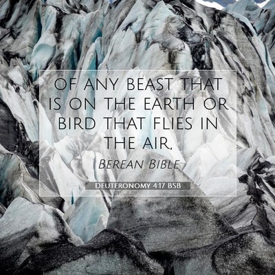 Picture 07 - Deuteronomy 4:17 BSB - of any beast that is on the earth or bird that - Bible Verse Picture