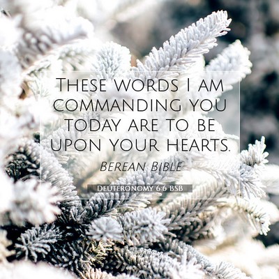 Picture 07 - Deuteronomy 6:6 BSB - These words I am commanding you today are to be - Bible Verse Picture