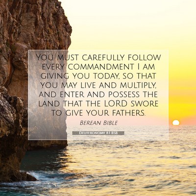 Picture 07 - Deuteronomy 8:1 BSB - You must carefully follow every commandment I am - Bible Verse Picture