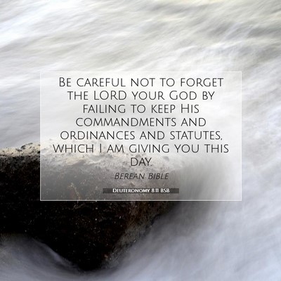 Picture 07 - Deuteronomy 8:11 BSB - Be careful not to forget the LORD your God by - Bible Verse Picture