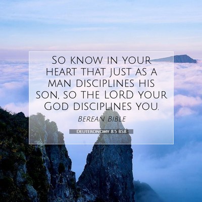 Picture 07 - Deuteronomy 8:5 BSB - So know in your heart that just as a man - Bible Verse Picture