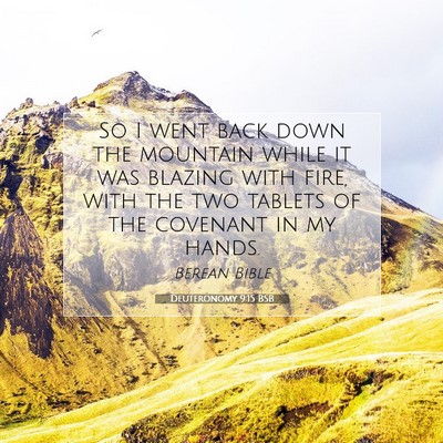 Picture 07 - Deuteronomy 9:15 BSB - So I went back down the mountain while it was - Bible Verse Picture