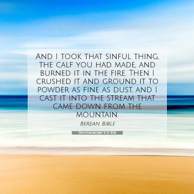 Picture 07 - Deuteronomy 9:21 BSB - And I took that sinful thing, the calf you had - Bible Verse Picture