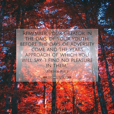 Picture 07 - Ecclesiastes 12:1 BSB - Remember your Creator in the days of your youth, - Bible Verse Picture