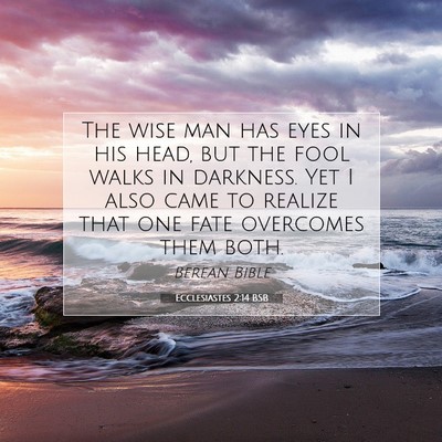 Picture 07 - Ecclesiastes 2:14 BSB - The wise man has eyes in his head, but the fool - Bible Verse Picture