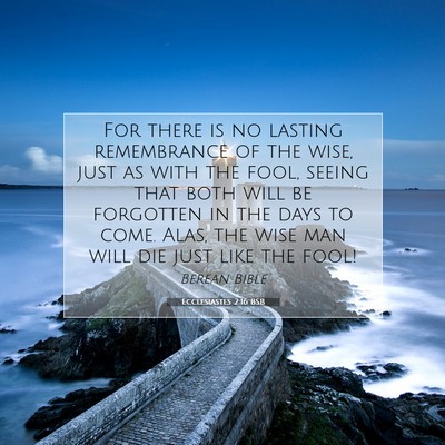 Picture 07 - Ecclesiastes 2:16 BSB - For there is no lasting remembrance of the wise, - Bible Verse Picture