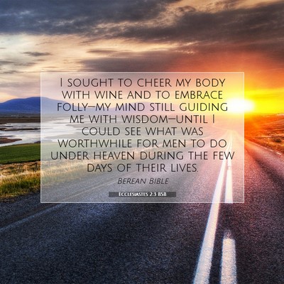 Picture 07 - Ecclesiastes 2:3 BSB - I sought to cheer my body with wine and to - Bible Verse Picture