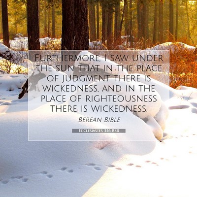 Picture 07 - Ecclesiastes 3:16 BSB - Furthermore, I saw under the sun that in the - Bible Verse Picture