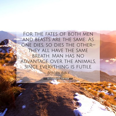 Picture 07 - Ecclesiastes 3:19 BSB - For the fates of both men and beasts are the - Bible Verse Picture