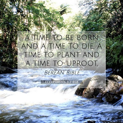 Picture 07 - Ecclesiastes 3:2 BSB - a time to be born and a time to die, a time to - Bible Verse Picture