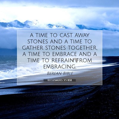 Picture 07 - Ecclesiastes 3:5 BSB - a time to cast away stones and a time to gather - Bible Verse Picture