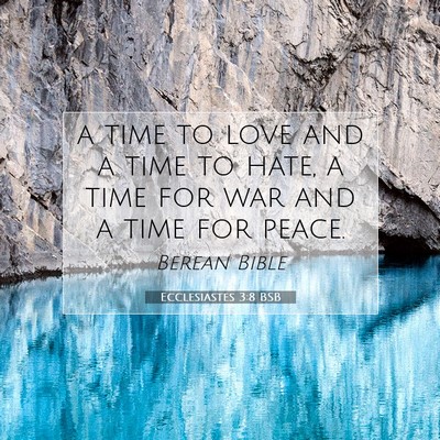 Picture 07 - Ecclesiastes 3:8 BSB - a time to love and a time to hate, a time for war - Bible Verse Picture