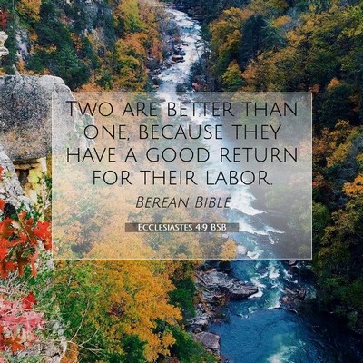 Picture 07 - Ecclesiastes 4:9 BSB - Two are better than one, because they have a good - Bible Verse Picture