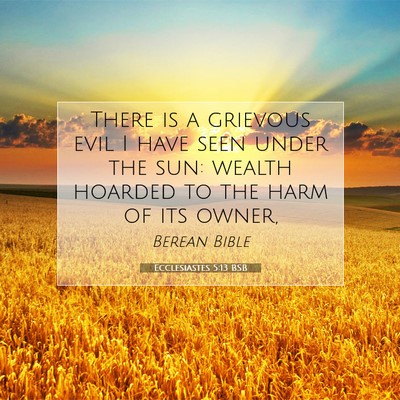 Picture 07 - Ecclesiastes 5:13 BSB - There is a grievous evil I have seen under the - Bible Verse Picture