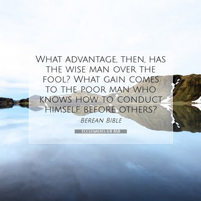 Picture 07 - Ecclesiastes 6:8 BSB - What advantage, then, has the wise man over the - Bible Verse Picture