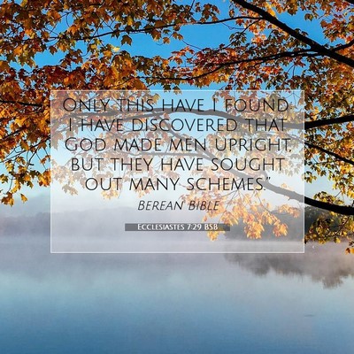 Picture 07 - Ecclesiastes 7:29 BSB - Only this have I found: I have discovered that - Bible Verse Picture