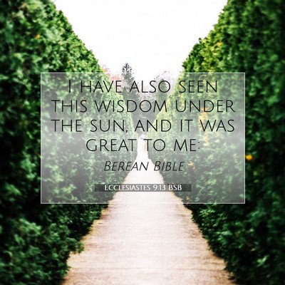 Picture 07 - Ecclesiastes 9:13 BSB - I have also seen this wisdom under the sun, and - Bible Verse Picture