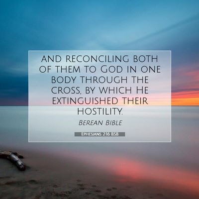 Picture 07 - Ephesians 2:16 BSB - and reconciling both of them to God in one body - Bible Verse Picture