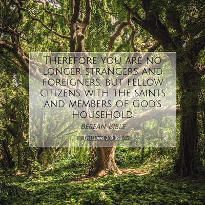 Picture 07 - Ephesians 2:19 BSB - Therefore you are no longer strangers and - Bible Verse Picture