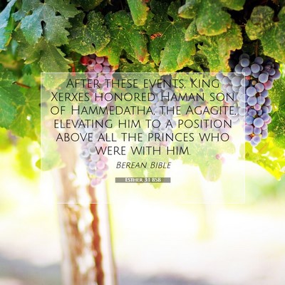 Picture 07 - Esther 3:1 BSB - After these events, King Xerxes honored Haman son - Bible Verse Picture