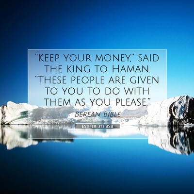 Picture 07 - Esther 3:11 BSB - “Keep your money,” said the king to Haman. - Bible Verse Picture