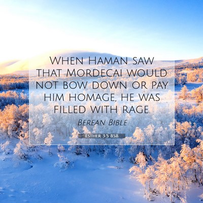 Picture 07 - Esther 3:5 BSB - When Haman saw that Mordecai would not bow down - Bible Verse Picture