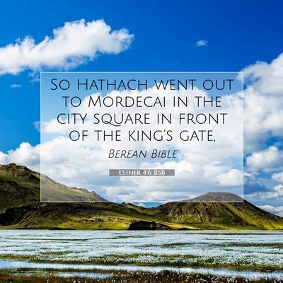 Picture 07 - Esther 4:6 BSB - So Hathach went out to Mordecai in the city - Bible Verse Picture