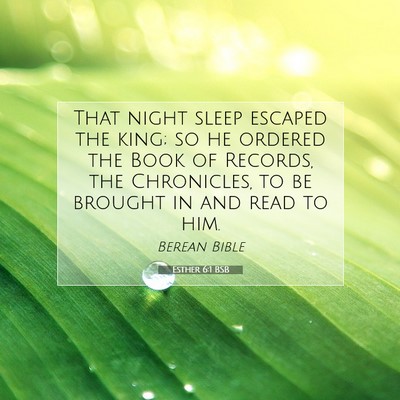 Picture 07 - Esther 6:1 BSB - That night sleep escaped the king; so he ordered - Bible Verse Picture