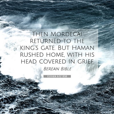 Picture 07 - Esther 6:12 BSB - Then Mordecai returned to the king’s gate. But - Bible Verse Picture