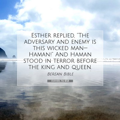 Picture 07 - Esther 7:6 BSB - Esther replied, “The adversary and enemy is - Bible Verse Picture