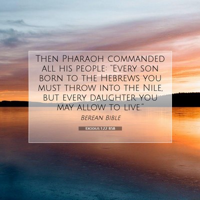 Picture 07 - Exodus 1:22 BSB - Then Pharaoh commanded all his people: “Every - Bible Verse Picture