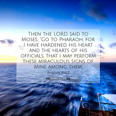 Picture 07 - Exodus 10:1 BSB - Then the LORD said to Moses, “Go to Pharaoh, - Bible Verse Picture