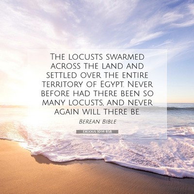 Picture 07 - Exodus 10:14 BSB - The locusts swarmed across the land and settled - Bible Verse Picture